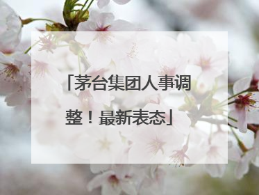 茅台集团人事调整！最新表态