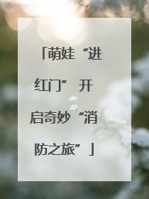 萌娃“进红门” 开启奇妙“消防之旅”