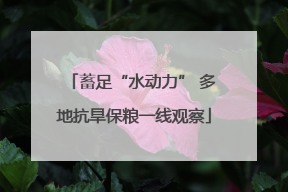 蓄足“水动力” 多地抗旱保粮一线观察