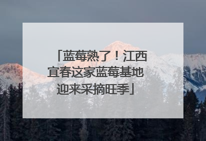 蓝莓熟了！江西宜春这家蓝莓基地迎来采摘旺季
