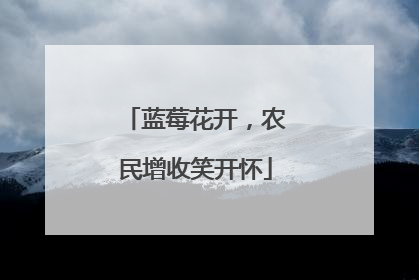 蓝莓花开，农民增收笑开怀