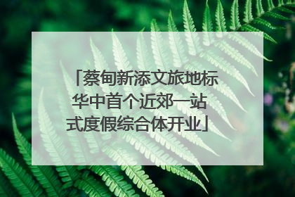 蔡甸新添文旅地标 华中首个近郊一站式度假综合体开业