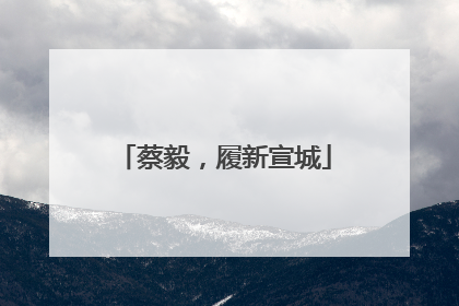 蔡毅，履新宣城
