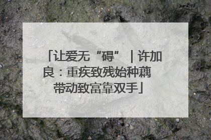 让爱无“碍”｜许加良：重疾致残始种藕 带动致富靠双手