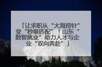 让求职从“大海捞针”变“秒级匹配”！山东“数智就业”助力人才与企业“双向奔赴”