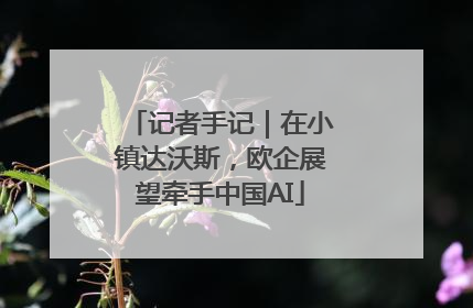 记者手记｜在小镇达沃斯，欧企展望牵手中国AI