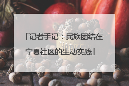 记者手记：民族团结在宁夏社区的生动实践
