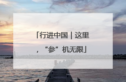 行进中国｜这里，“参”机无限