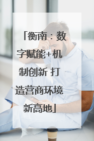 衡南：数字赋能+机制创新 打造营商环境新高地
