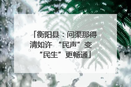 衡阳县：问渠那得清如许 “民声”变“民生”更畅通