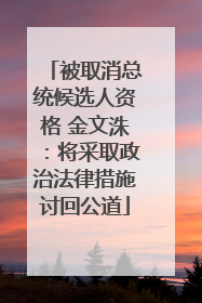 被取消总统候选人资格 金文洙：将采取政治法律措施讨回公道