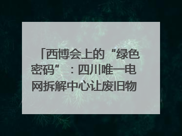 西博会上的“绿色密码”：四川唯一电网拆解中心让废旧物资“重生”｜西博寻“新”记