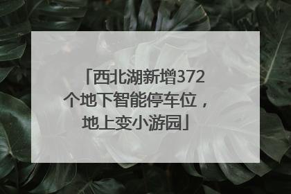 西北湖新增372个地下智能停车位，地上变小游园