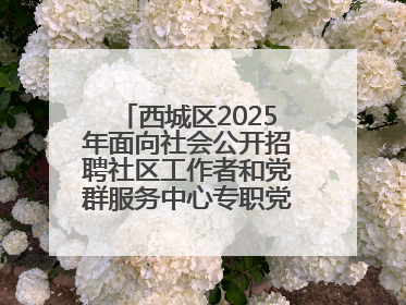 西城区2025年面向社会公开招聘社区工作者和党群服务中心专职党务工作者公告