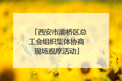 西安市灞桥区总工会组织集体协商现场观摩活动