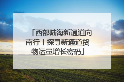 西部陆海新通道向南行丨探寻新通道货物运量增长密码
