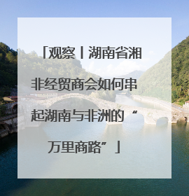 观察丨湖南省湘非经贸商会如何串起湖南与非洲的“万里商路”