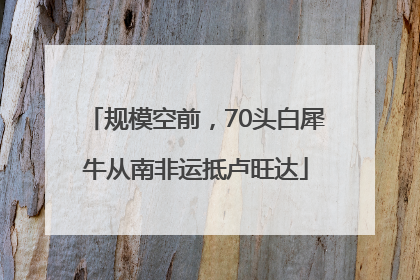 规模空前，70头白犀牛从南非运抵卢旺达