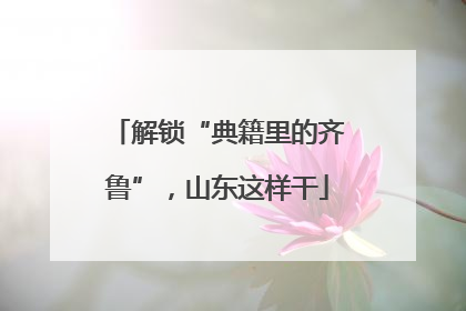 解锁“典籍里的齐鲁”，山东这样干