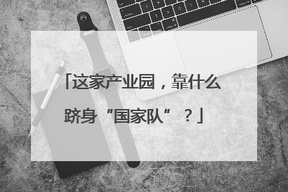 这家产业园，靠什么跻身“国家队”？