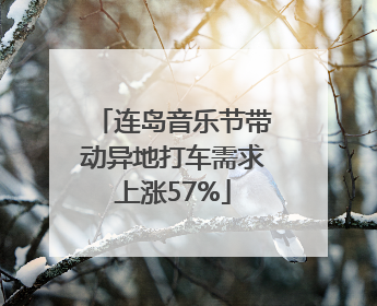 连岛音乐节带动异地打车需求上涨57%