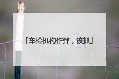 车检机构作弊，该抓