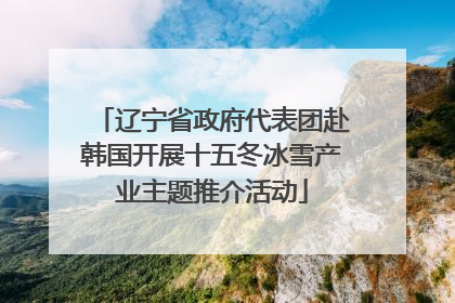 辽宁省政府代表团赴韩国开展十五冬冰雪产业主题推介活动