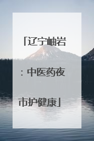 辽宁岫岩：中医药夜市护健康