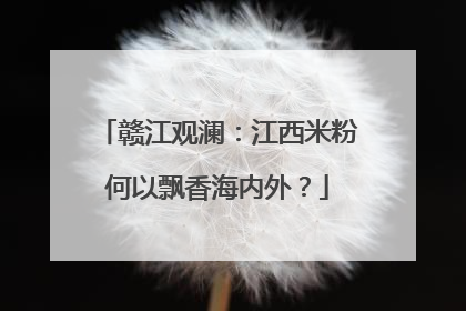 赣江观澜：江西米粉何以飘香海内外？
