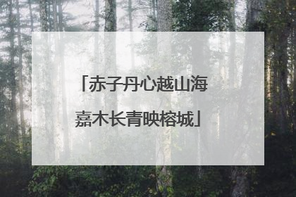 赤子丹心越山海 嘉木长青映榕城