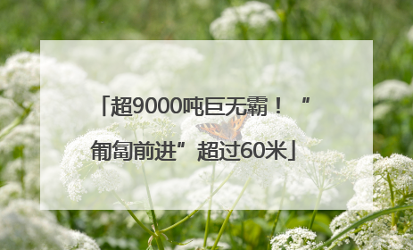 超9000吨巨无霸！“匍匐前进”超过60米