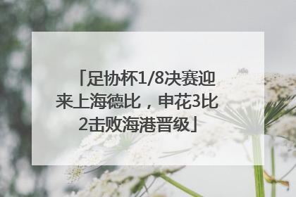 足协杯1/8决赛迎来上海德比，申花3比2击败海港晋级
