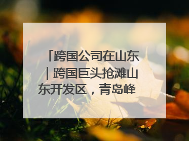 跨国公司在山东｜跨国巨头抢滩山东开发区，青岛峰会拉开帷幕