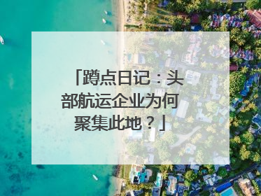 蹲点日记：头部航运企业为何聚集此地？