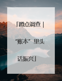蹲点调查｜“账本”里头话振兴