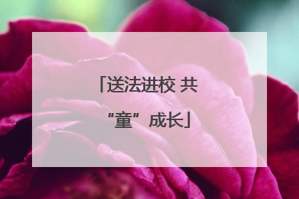 送法进校 共“童”成长