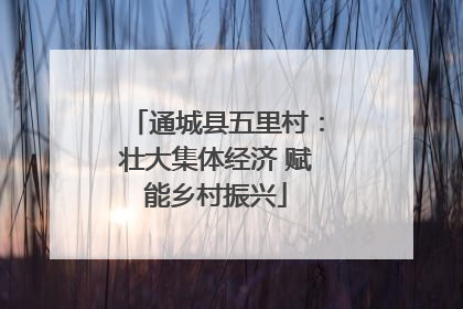 通城县五里村：壮大集体经济 赋能乡村振兴