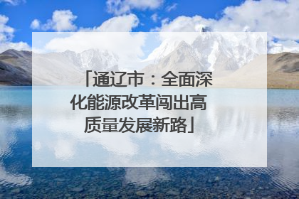 通辽市：全面深化能源改革闯出高质量发展新路
