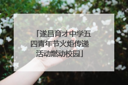 遂昌育才中学五四青年节火炬传递活动燃动校园