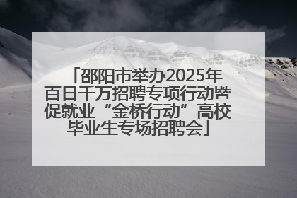 邵阳市举办2025年百日千万招聘专项行动暨促就业“金桥行动”高校毕业生专场招聘会