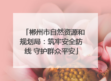 郴州市自然资源和规划局：筑牢安全防线 守护群众平安