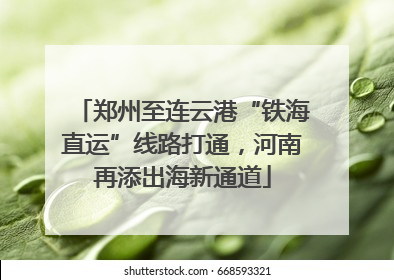 郑州至连云港“铁海直运”线路打通，河南再添出海新通道