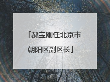 郝宝刚任北京市朝阳区副区长