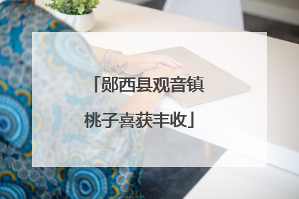 郧西县观音镇桃子喜获丰收