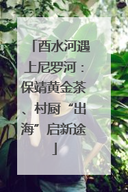 酉水河遇上尼罗河：保靖黄金茶、村厨“出海”启新途