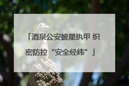 酒泉公安披星执甲 织密防控“安全经纬”
