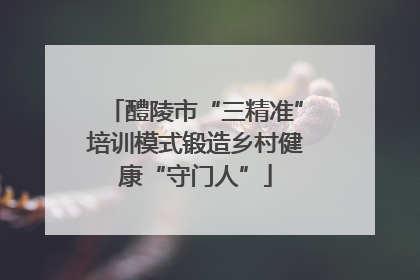 醴陵市“三精准”培训模式锻造乡村健康“守门人”