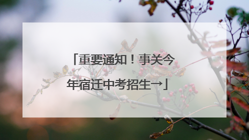 重要通知！事关今年宿迁中考招生→