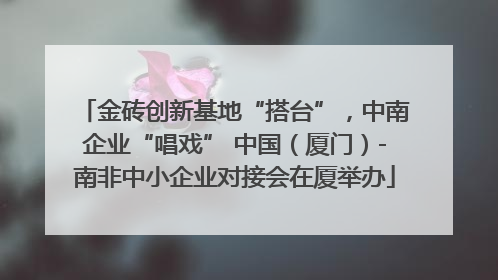 金砖创新基地“搭台”，中南企业“唱戏” 中国（厦门）-南非中小企业对接会在厦举办