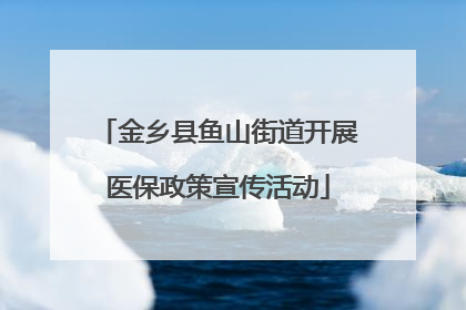 金乡县鱼山街道开展医保政策宣传活动